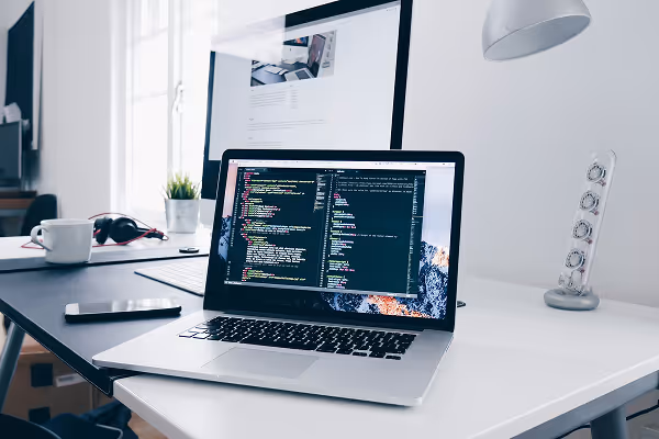 Protecting your Online Data and Reputation